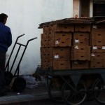 GERİ DÖNÜŞÜM İÇİN KARTON TOPLUYOR. (İHA/KIRŞEHİR-İHA)