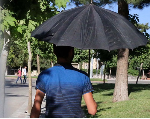 Vatandaşa Şemsiye Açtırdı