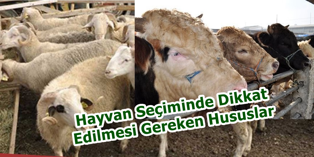 Bu Hususlara Dikkat