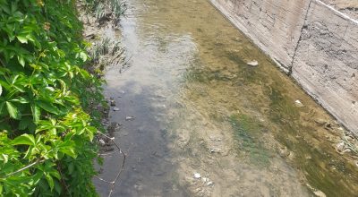 Kılıçözü Çayı Eski Görüntüsüne Kavuşmuş