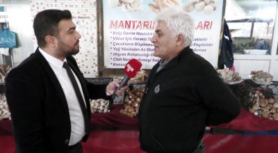 Kırşehir Pazarı’nda Mantar Zenginliği: Kestane, Beyaz ve İstiridye Mantarı Farkı Ne?