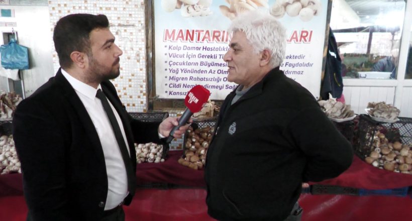 Kırşehir Pazarı’nda Mantar Zenginliği: Kestane, Beyaz ve İstiridye Mantarı Farkı Ne?