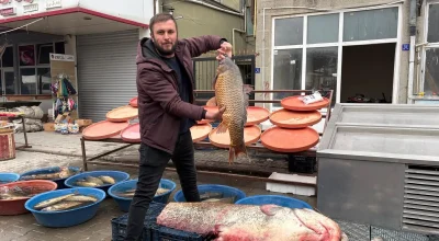 2 Metrelik Yayın Balığı Kırşehirli Vatandaşları Şoka Uğrattı!