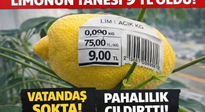 Kırşehir’de Limonun Tanesi 9 Lira Oldu: Salataya mı Sıkalım, Vitrine mi Koyalım?