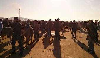 GIDA TARIM HAYVANCILIK İL MÜDÜRLÜĞÜ BAYRAMA HAZIR